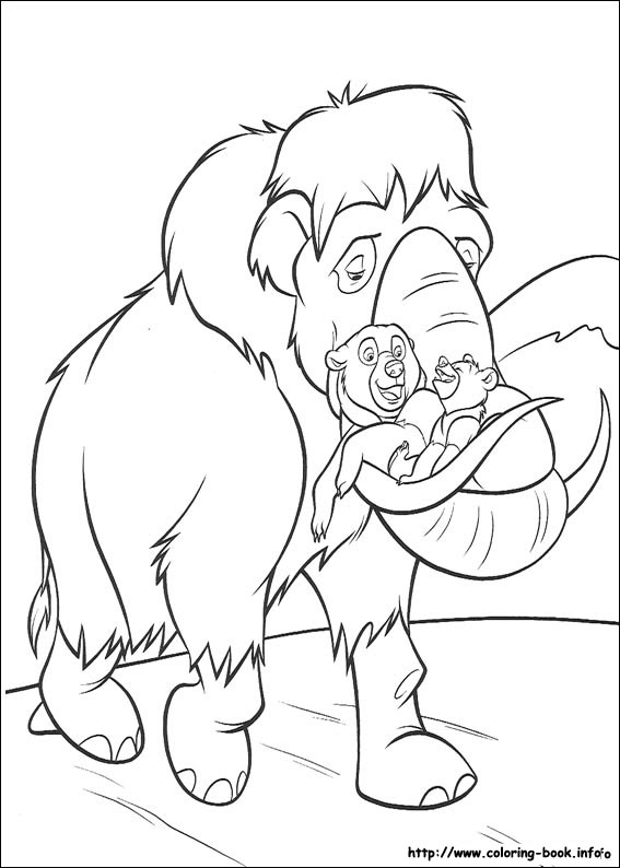 Brother Bear coloring picture